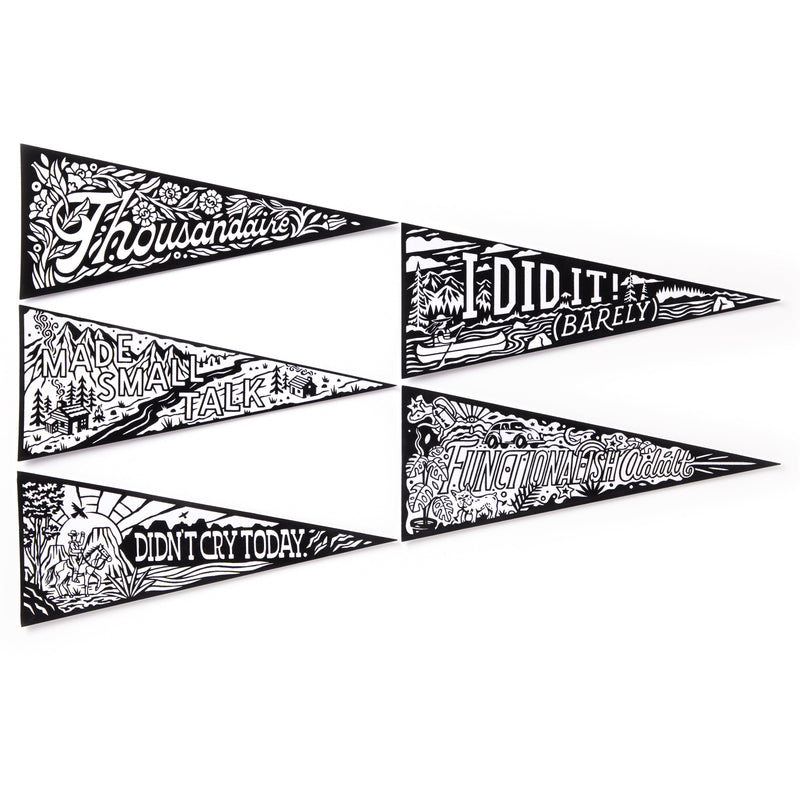 Small Victories Magic Velvet Pennant Coloring Set Brass Monkey 