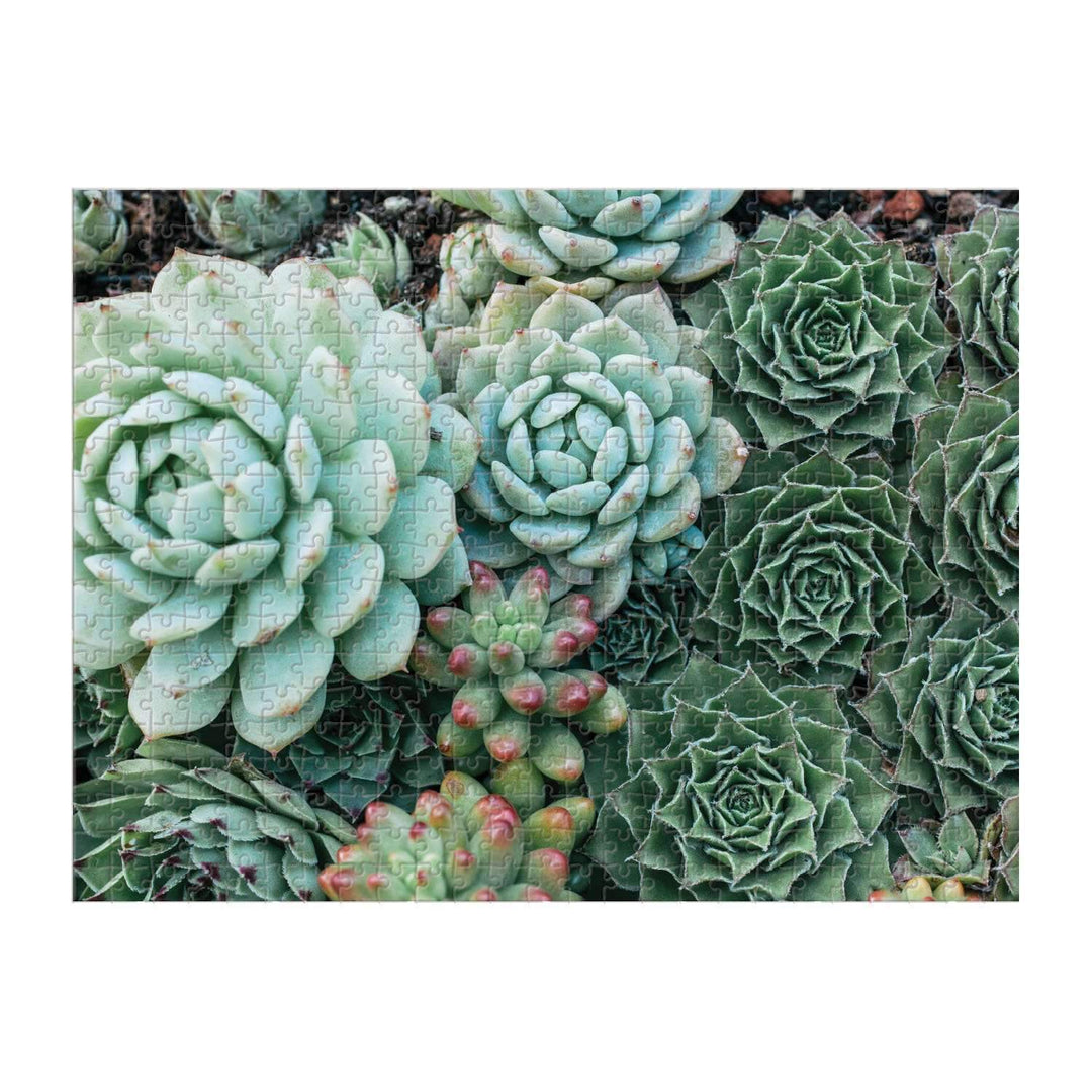 Succulent Garden 2-Sided 500 Piece Puzzle 2-sided 500 Piece Puzzles Galison 