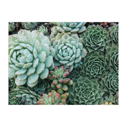 Succulent Garden 2-Sided 500 Piece Puzzle 2-sided 500 Piece Puzzles Galison 