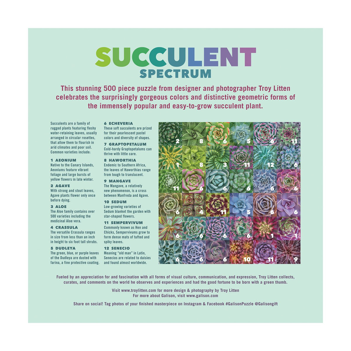 succulent spectrum puzzle Troy Litten Succulent Spectrum 500 Piece Jigsaw Puzzle