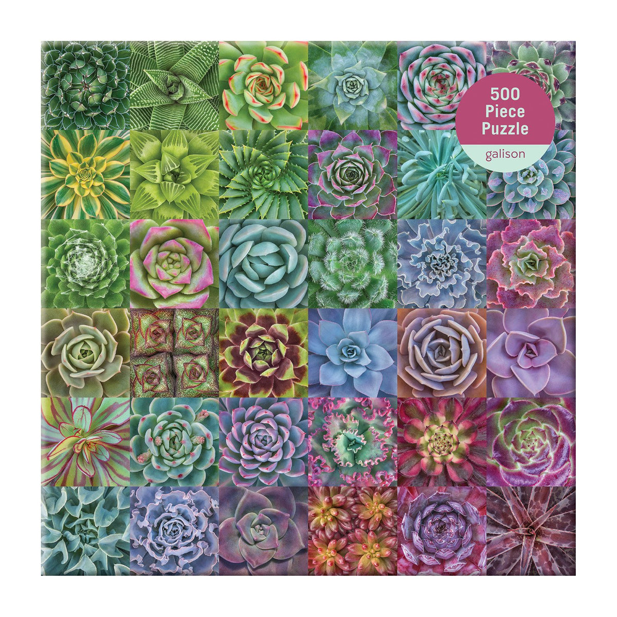 succulent puzzle 500 pieces Troy Litten Succulent Spectrum 500 Piece Jigsaw Puzzle