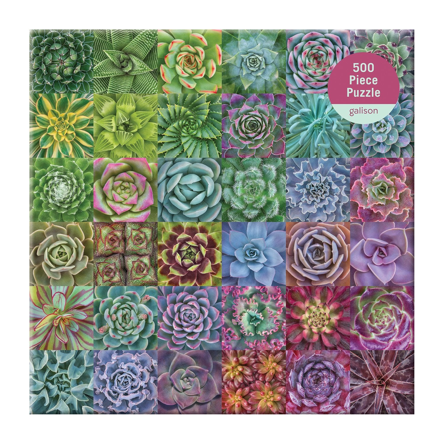galison succulent puzzle Galison