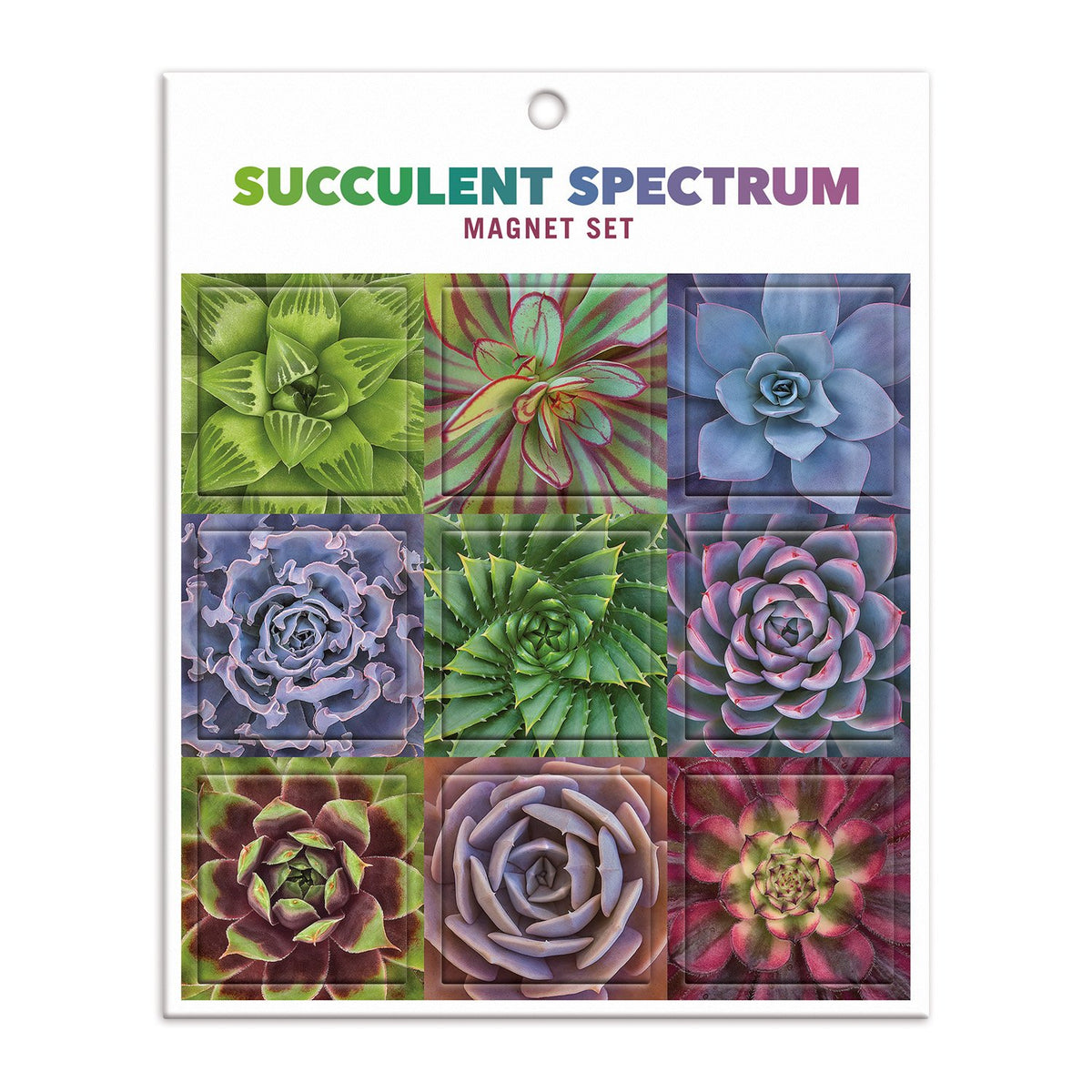 Succulent Spectrum Magnet Set Magnets Troy Litten Collection 