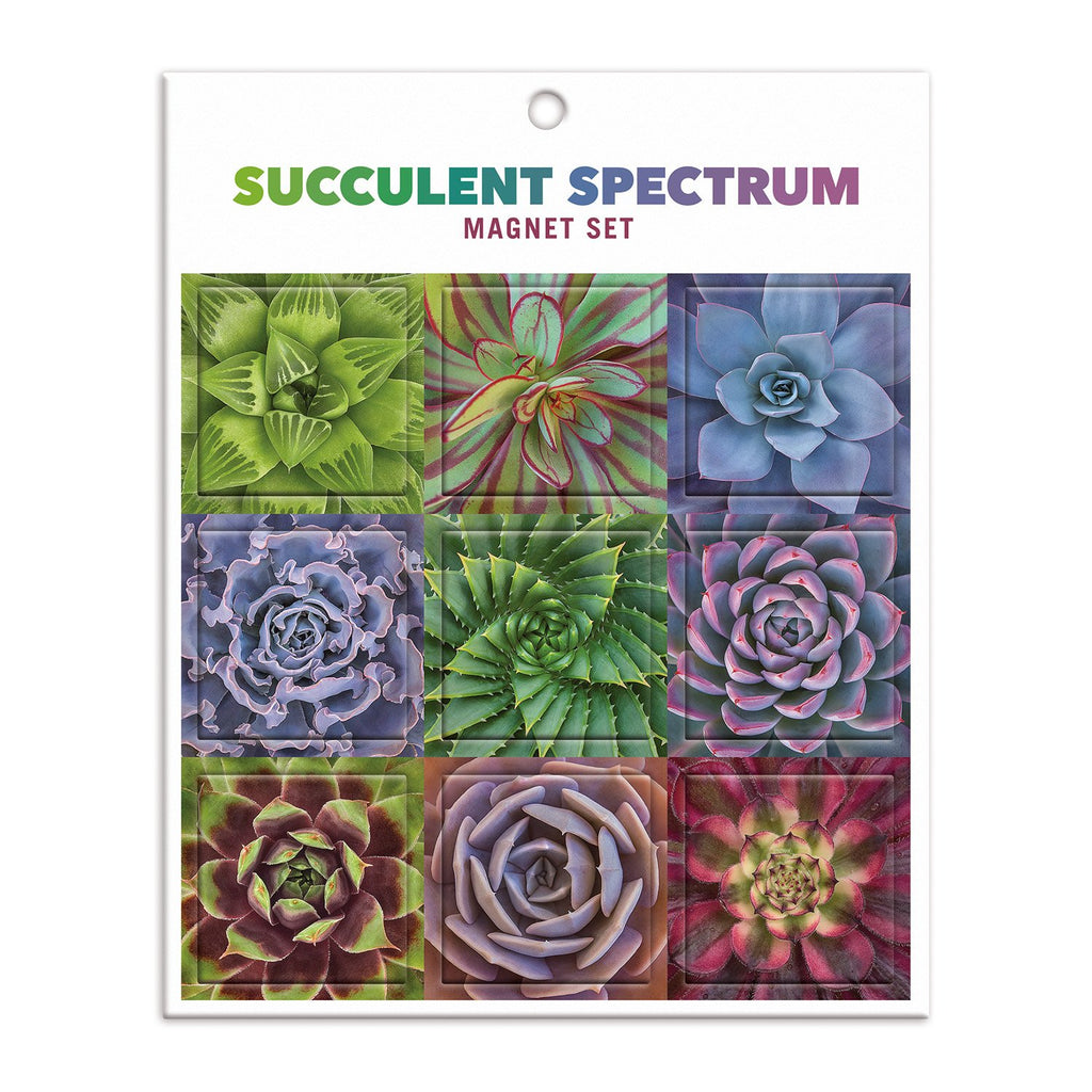 Succulent Spectrum Puzzle – 500 Teile, Bunte Sukkulenten-Motive, Von Galison