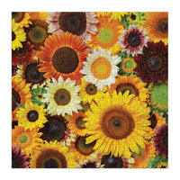 Sunflower Blooms 500 Piece Puzzle Puzzles Julie Seabrook Ream 