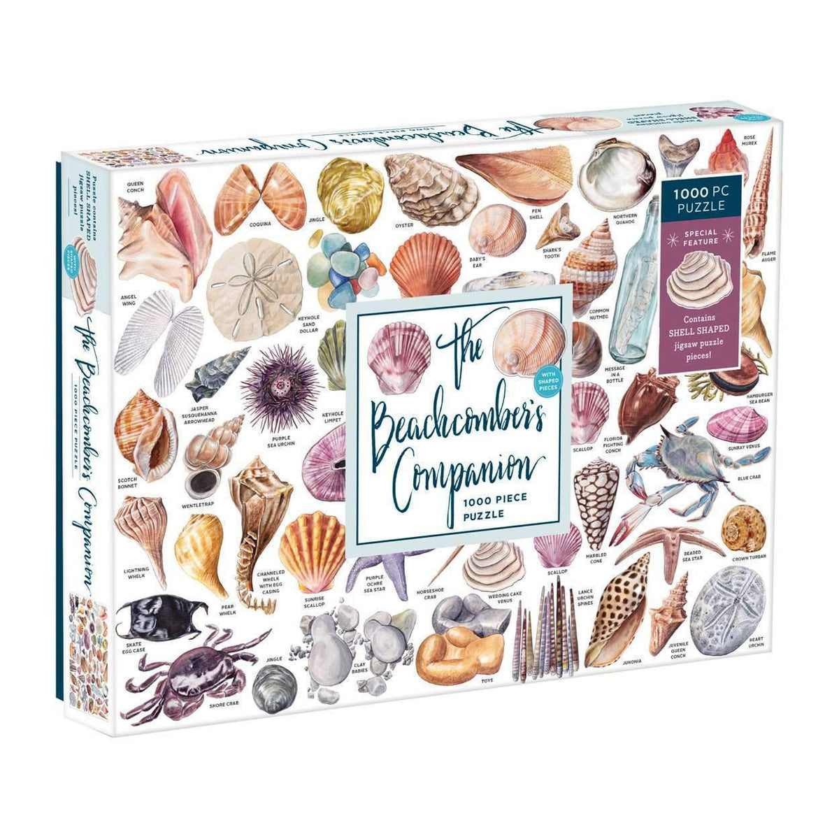 The Beachcomber's Companion 1000 Piece Puzzle With Shaped Pieces 1000 Piece Puzzles Galison 
