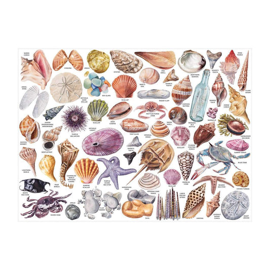 The Beachcomber's Companion 1000 Piece Puzzle With Shaped Pieces 1000 Piece Puzzles Galison 