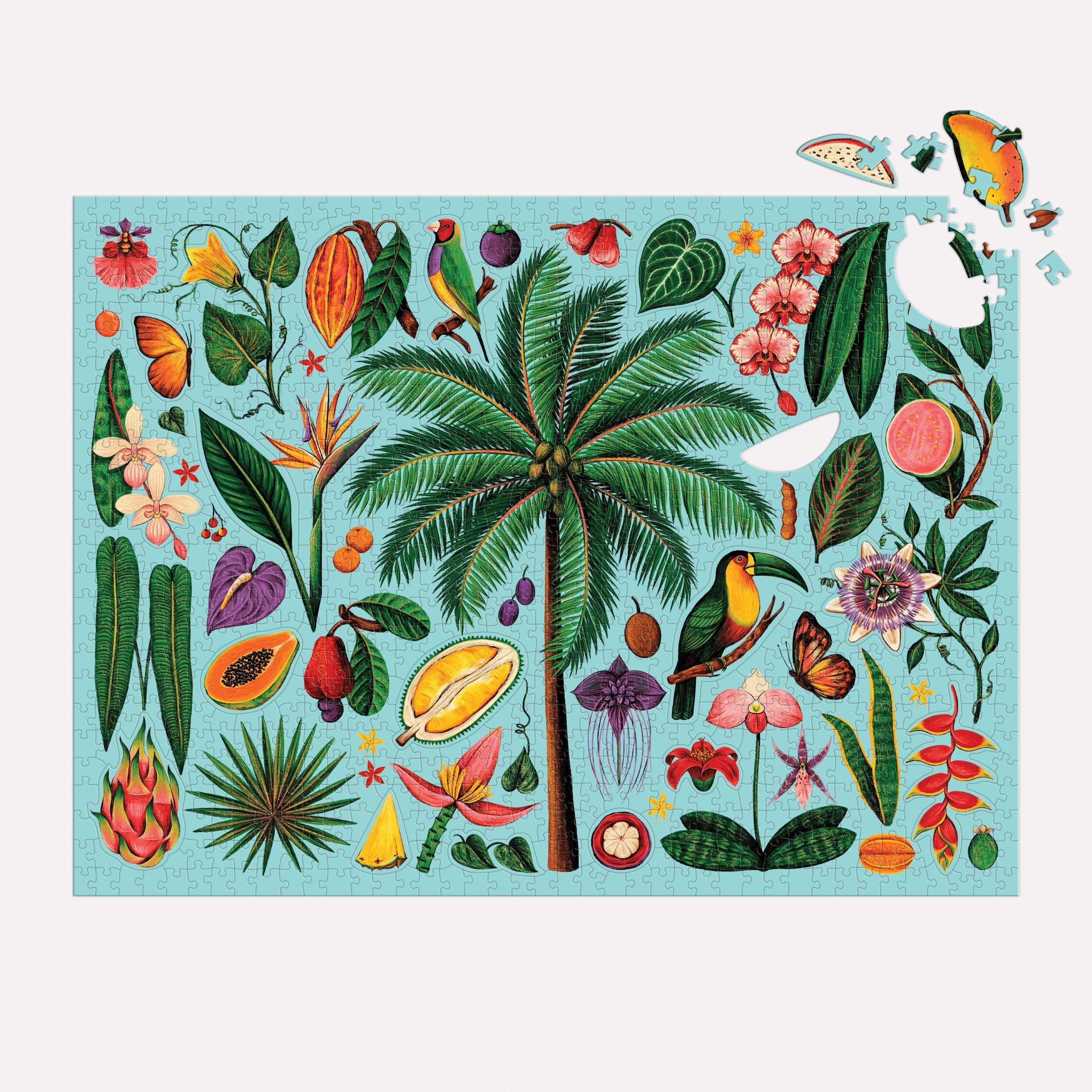 Tropics 1000 Piece Puzzle with Shaped Pieces | Galison