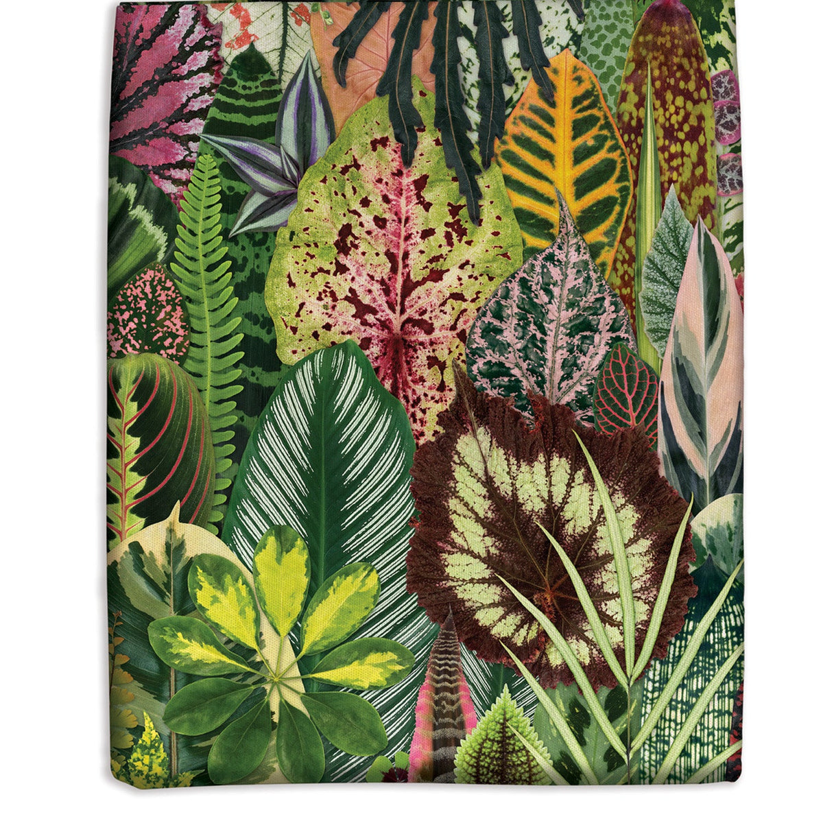 Troy Litten Houseplant Jungle Canvas Tote Bag Tote Bags Troy Litten 