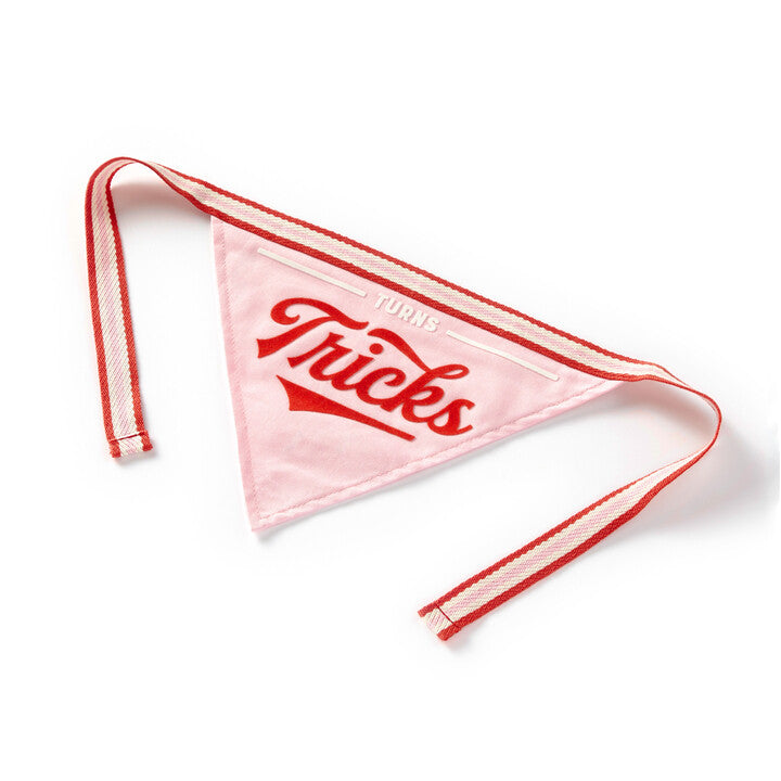 Turns Tricks Dog Bandana Brass Monkey 