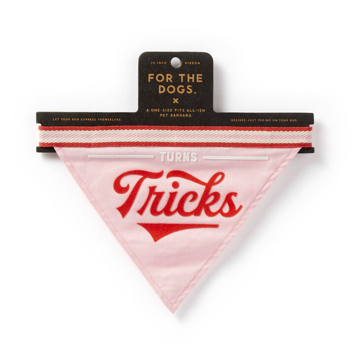 Turns Tricks Dog Bandana Brass Monkey 