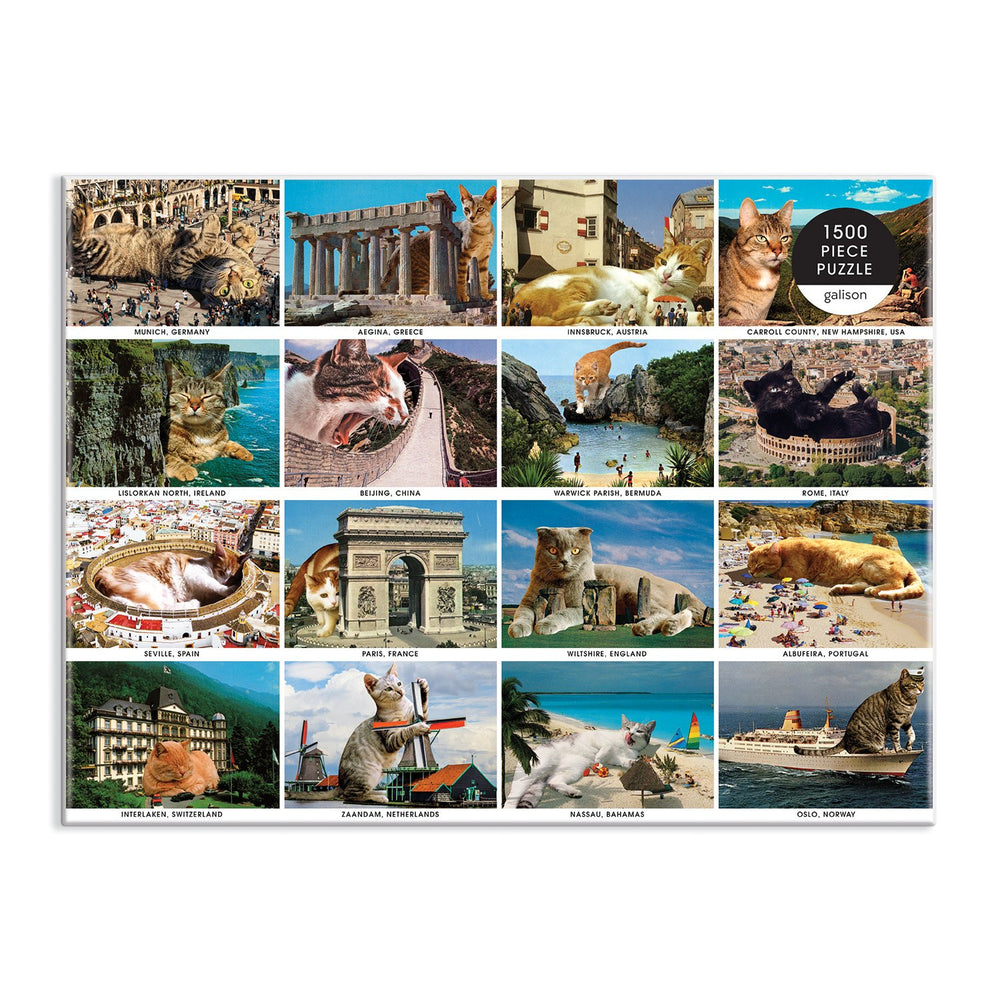 Vacation Cats 1500 Piece Puzzle 1500 Piece Puzzles Matt McCarthy 
