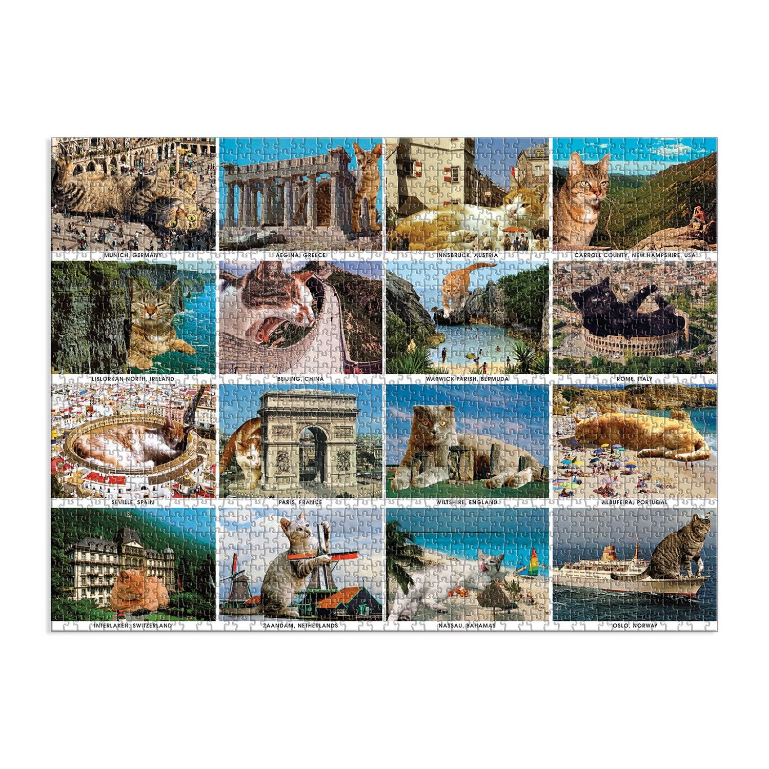 Vacation Cats 1500 Piece Puzzle | Galison